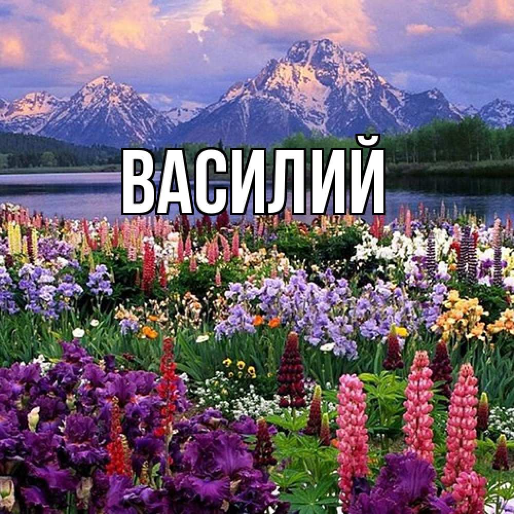 Открытка  с именем. Василий, Главная  