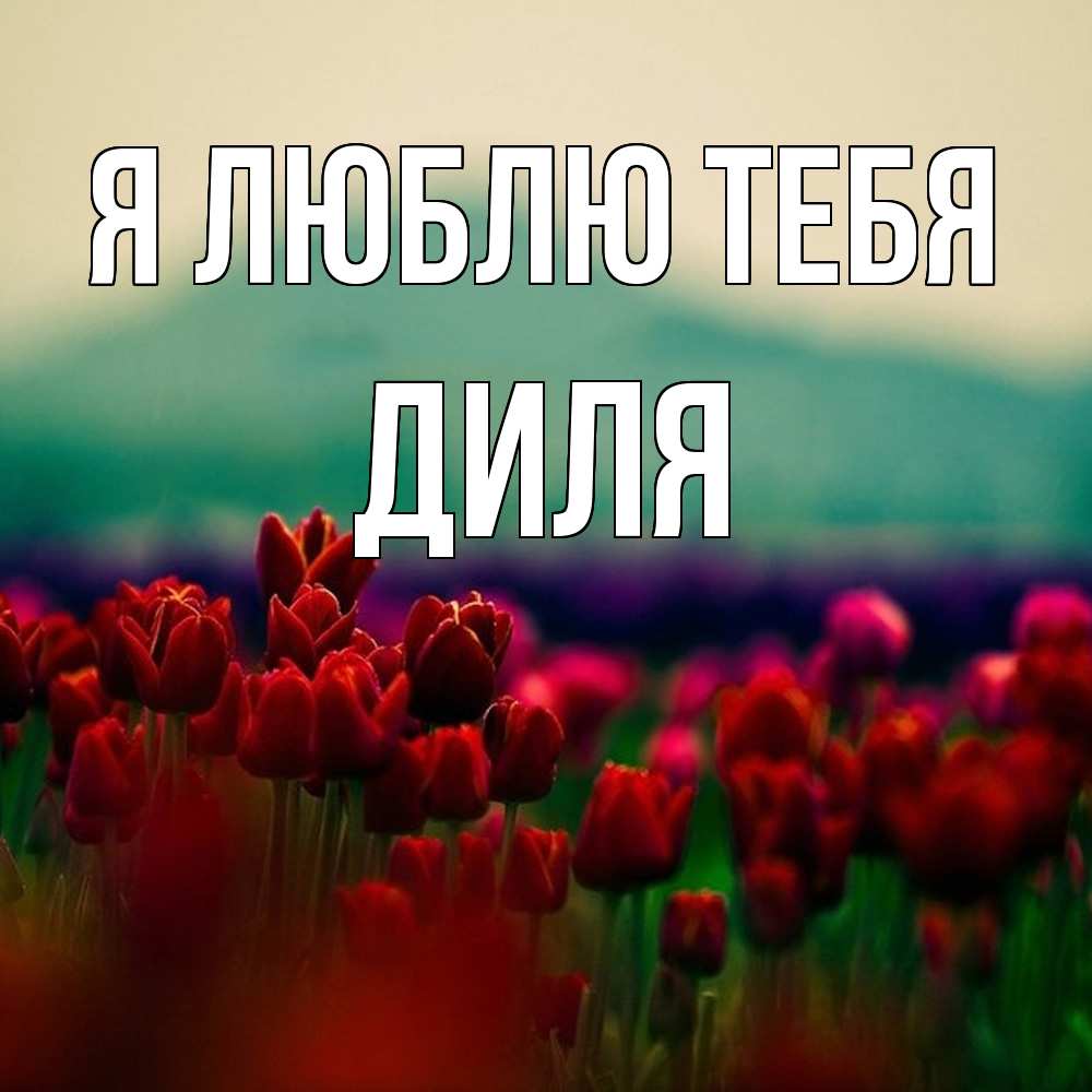 Открытка  с именем. Диля, Я люблю тебя  