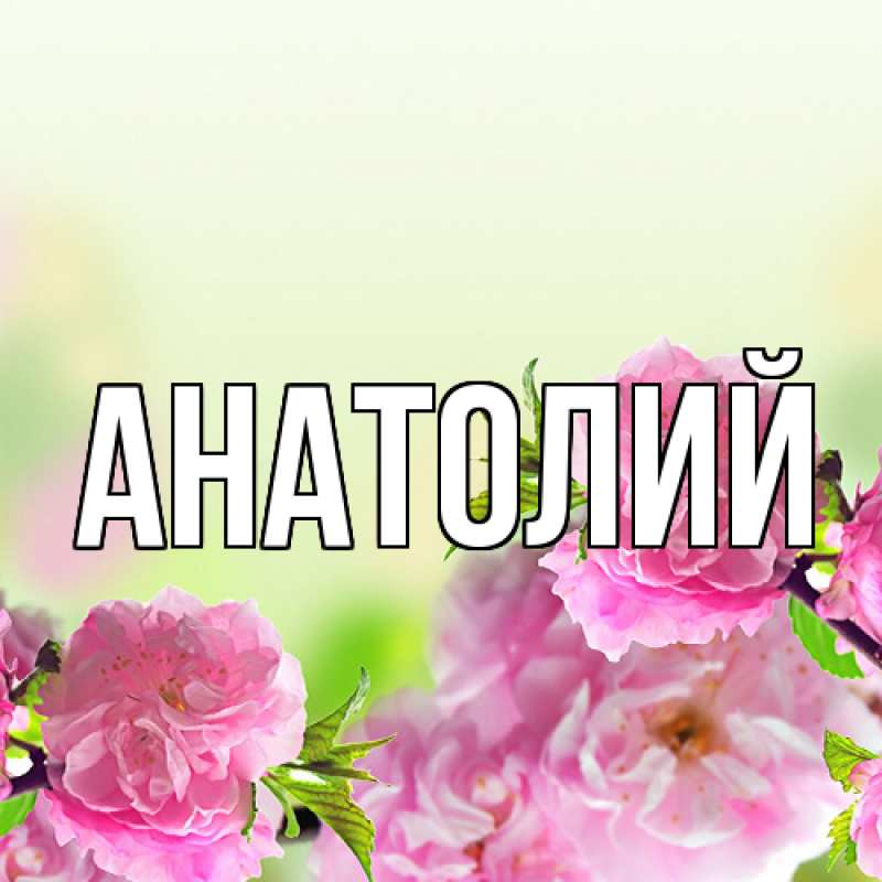 Картинка  с именем , Анатолий