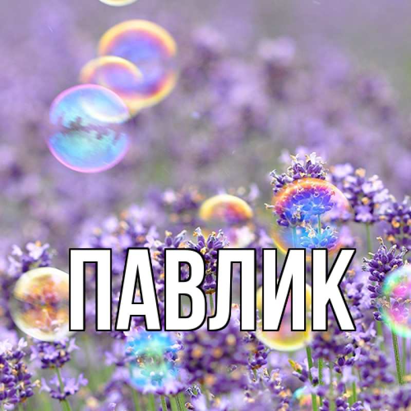 Картинка  с именем , Павлик