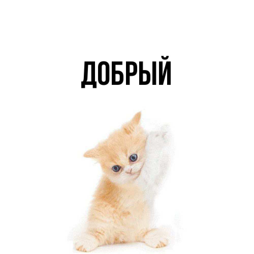 Открытка  с именем. Добрый, Главная  