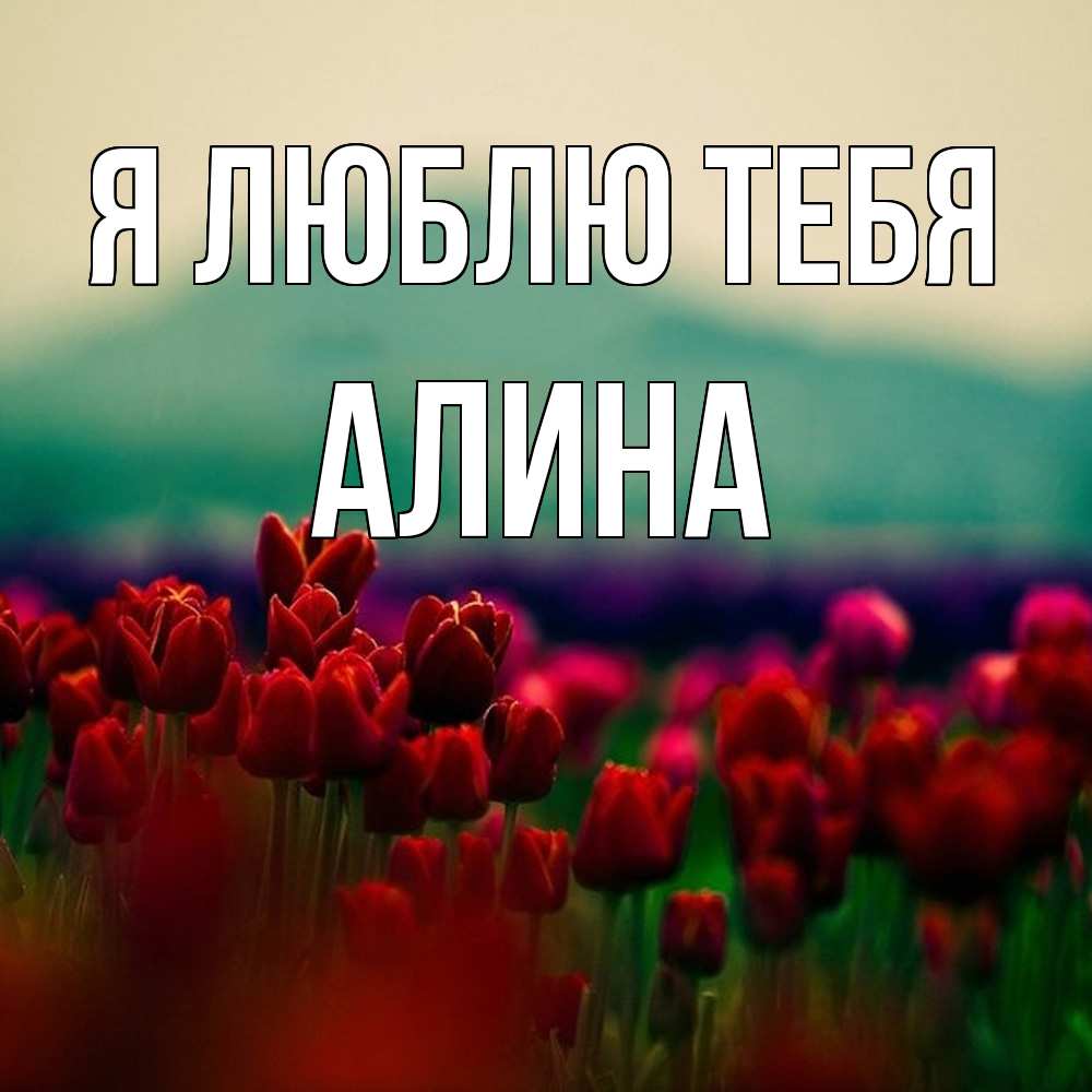 Открытка  с именем. Алина, Я люблю тебя  
