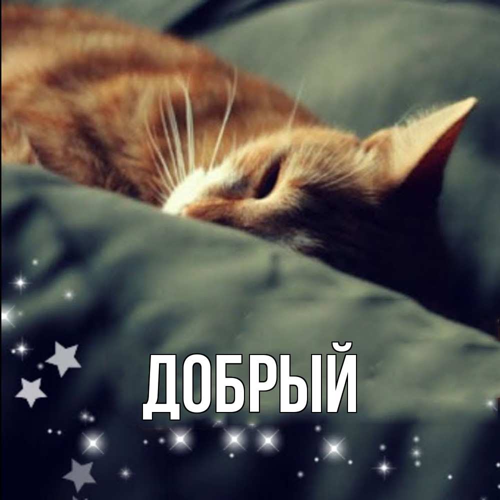 Открытка  с именем. Добрый, Главная  