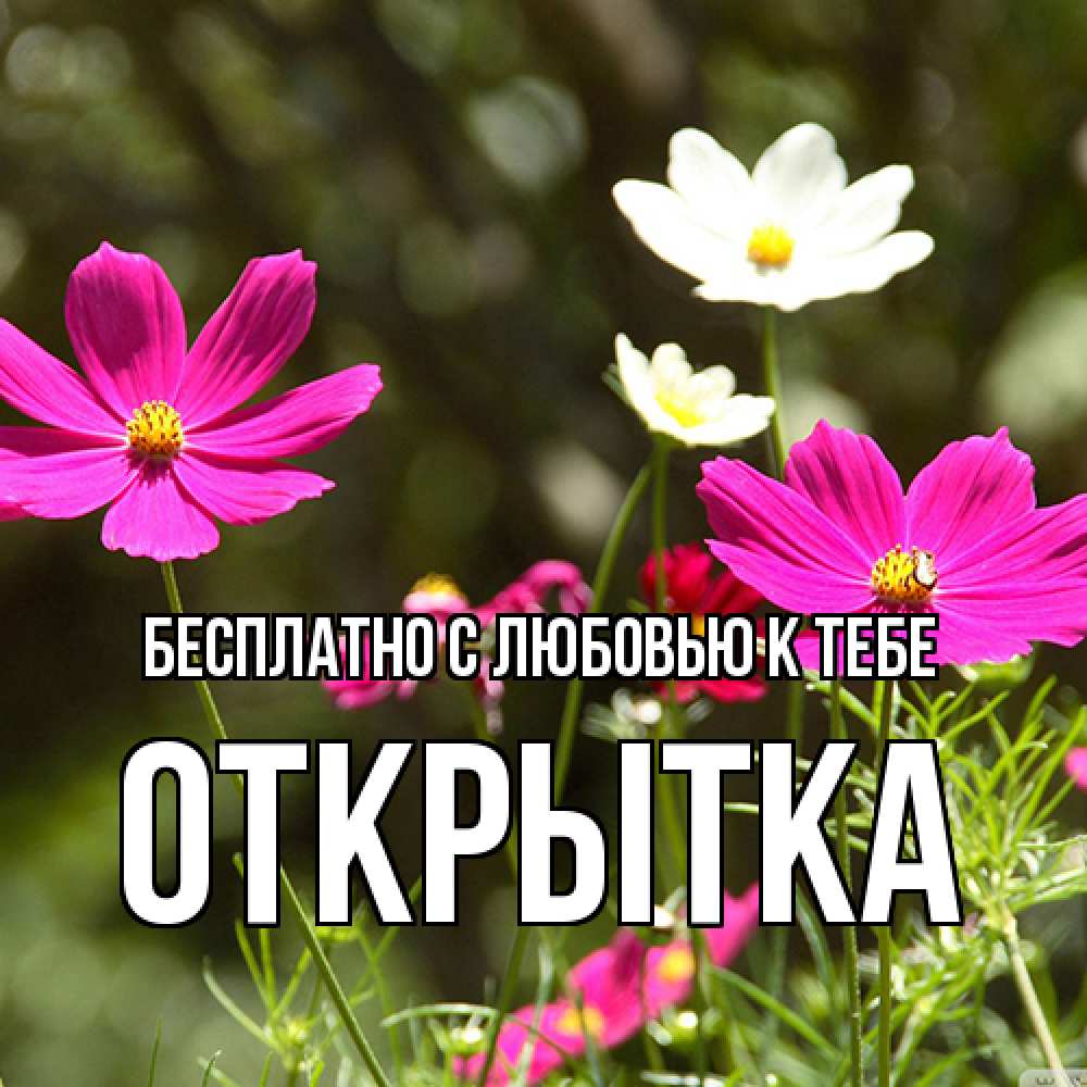 Открытка  с именем. открытка, С любовью к тебе  