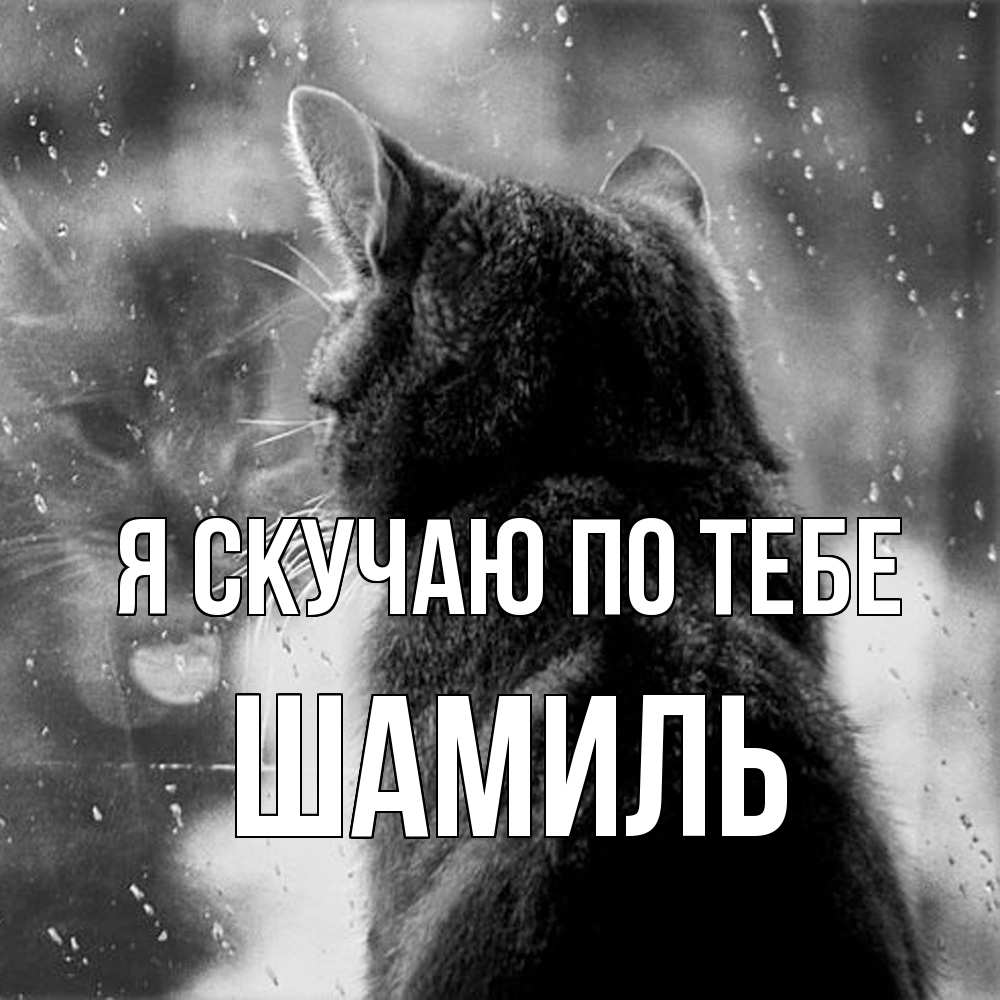 Открытка  с именем. Шамиль, Я скучаю по тебе  