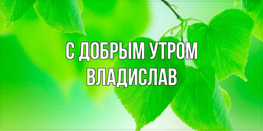 Открытка  с именем. Владислав, С добрым утром  