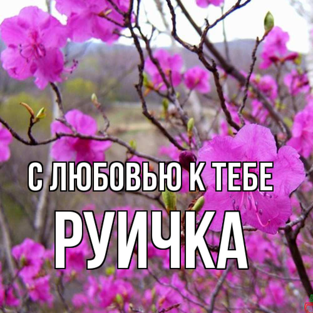 Открытка  с именем. Руичка, С любовью к тебе  