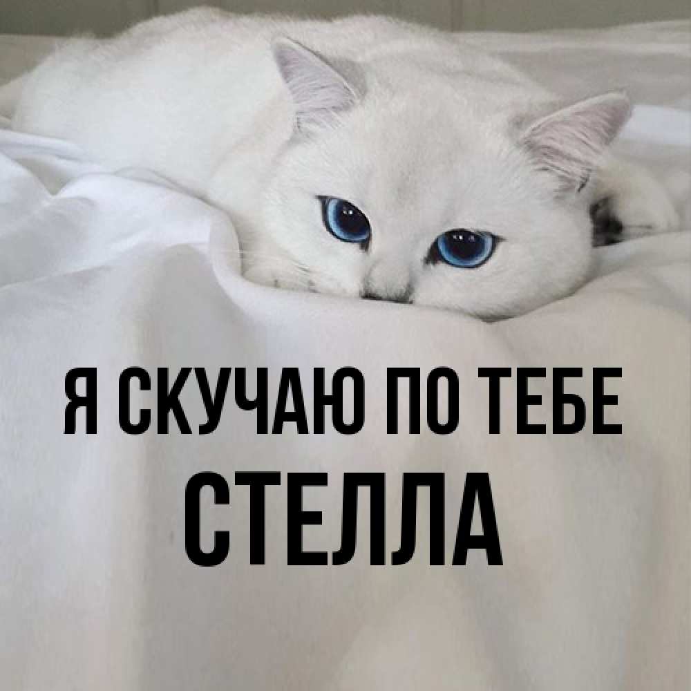 Открытка  с именем. Стелла, Я скучаю по тебе  