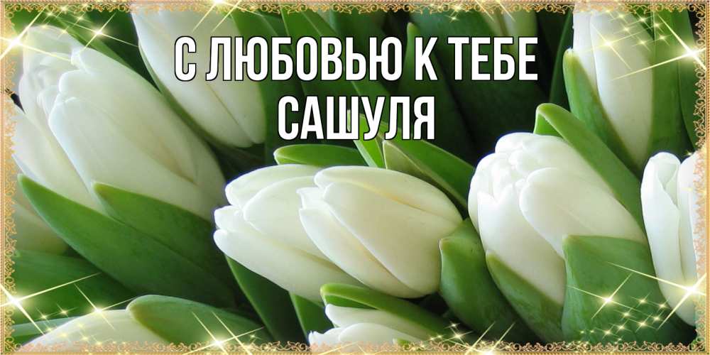 Открытка  с именем. Сашуля, С любовью к тебе  
