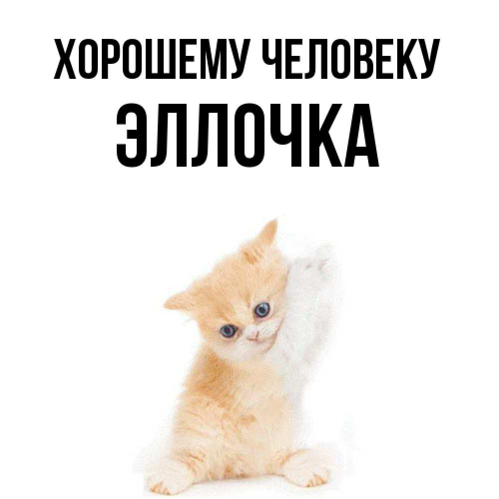 Открытка  с именем. Эллочка, Хорошему человеку  