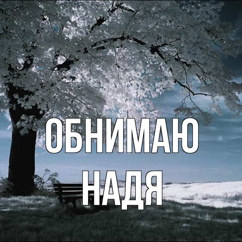 Картинка Обнимаю, Надя