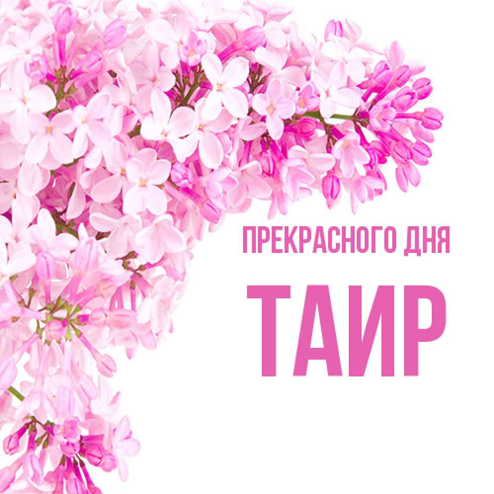 Открытка  с именем. Таир, Прекрасного дня  