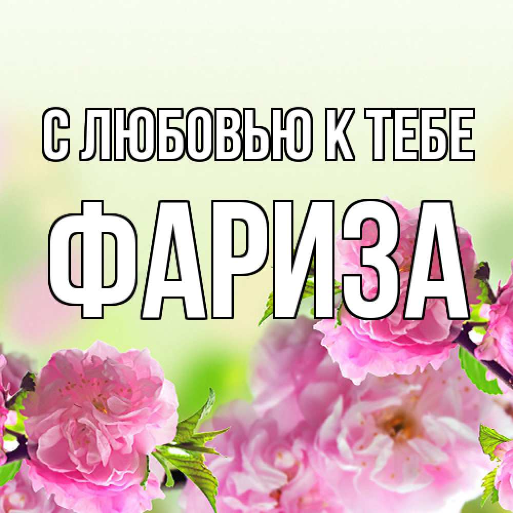 Открытка  с именем. Фариза, С любовью к тебе  