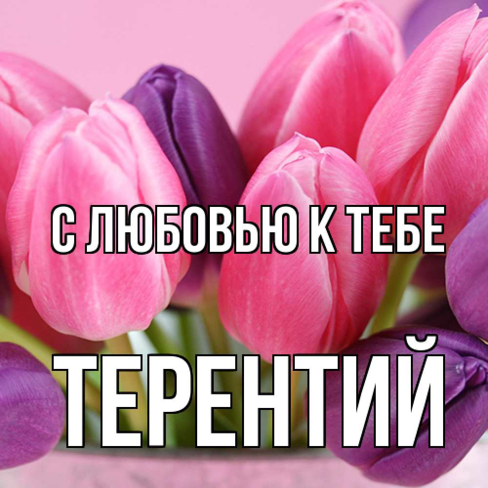 Открытка  с именем. Терентий, С любовью к тебе  