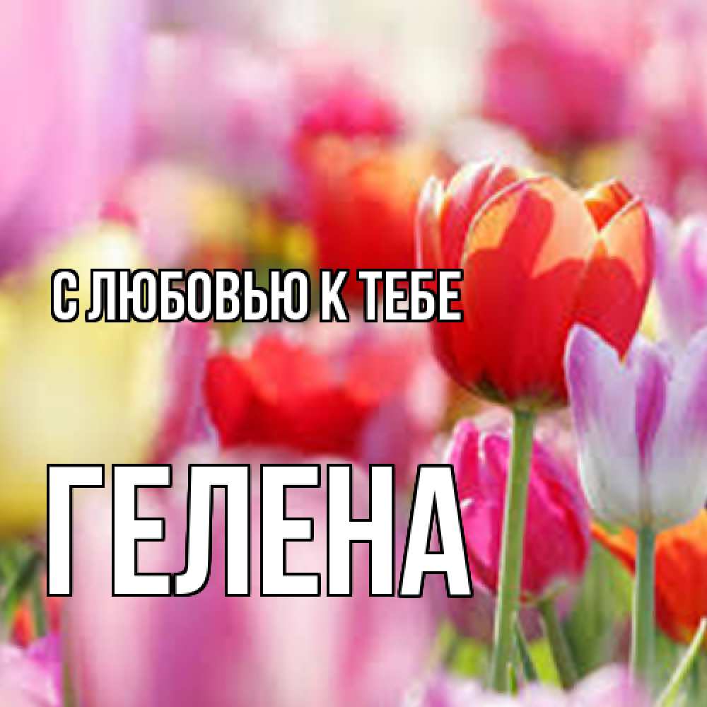 Открытка  с именем. Гелена, С любовью к тебе  