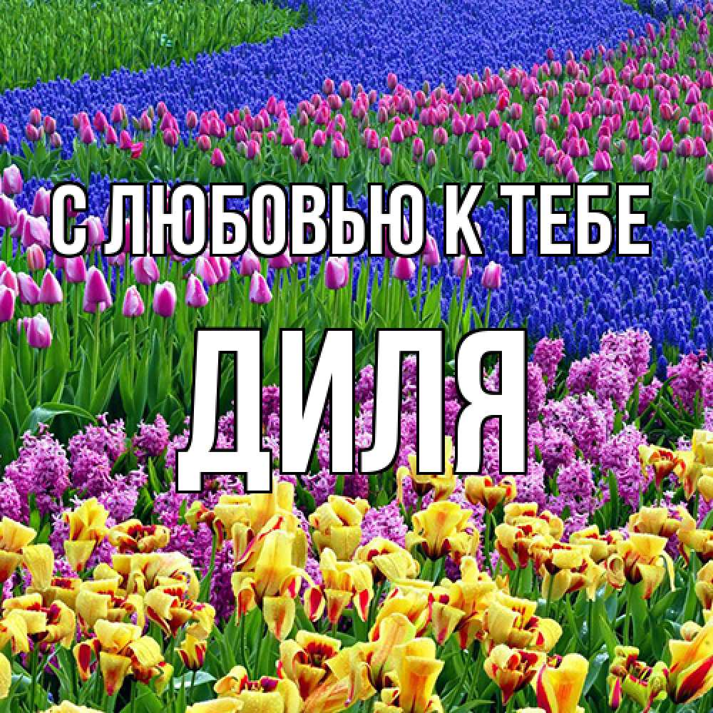 Открытка  с именем. Диля, С любовью к тебе  