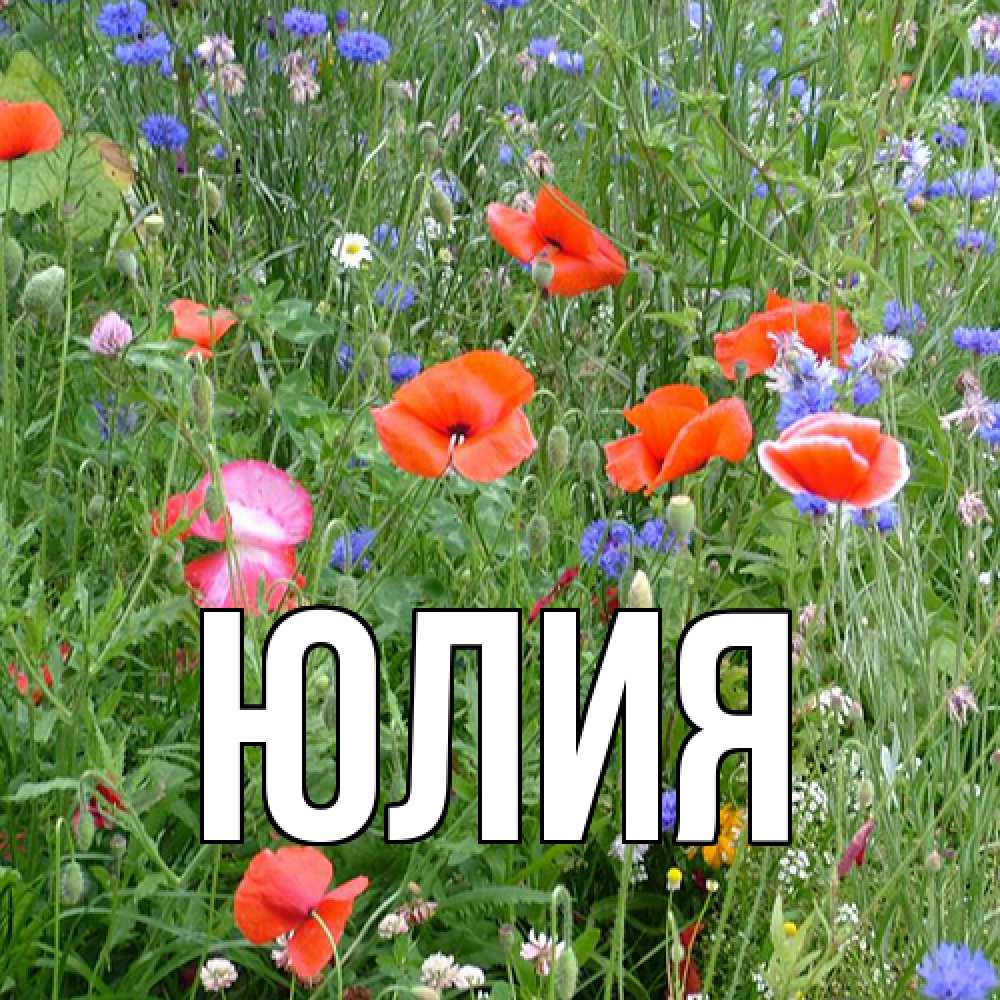 Открытка  с именем. Юлия, Главная  