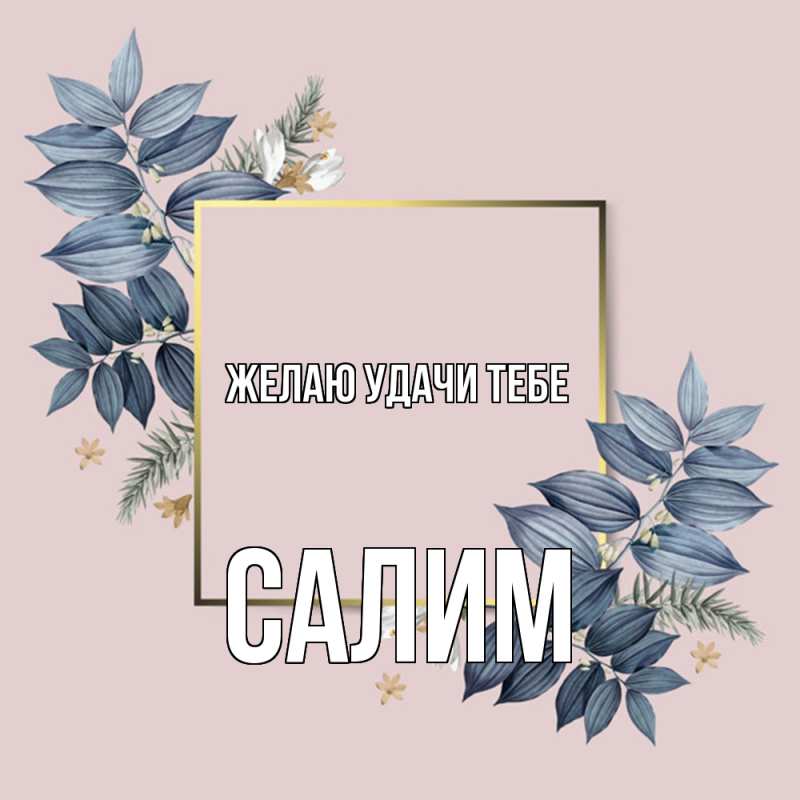 Картинка Желаю удачи тебе, Салим