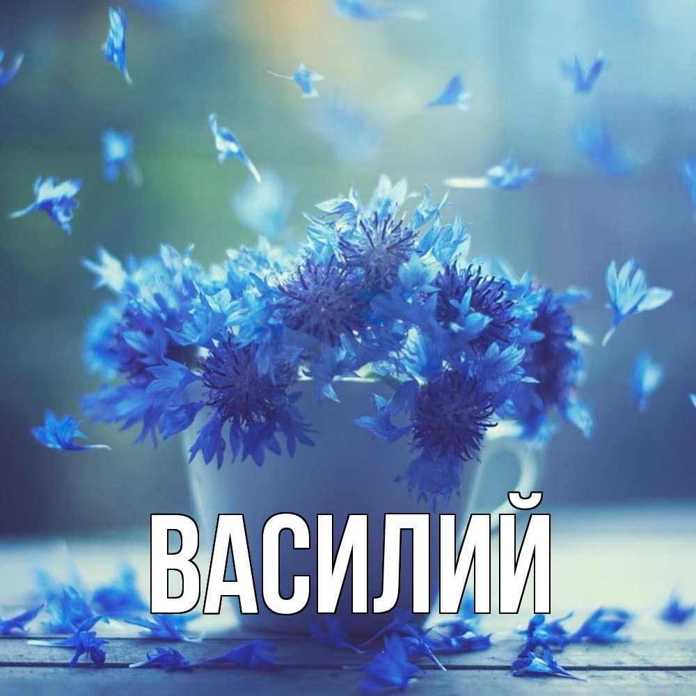 Открытка  с именем. Василий, Главная  