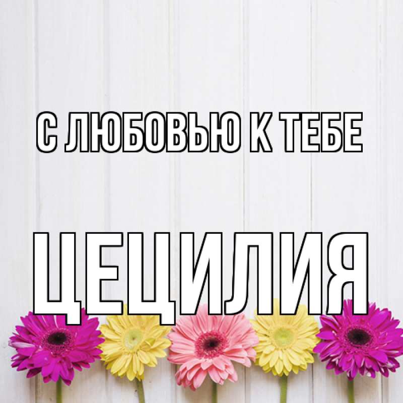 Картинка С любовью к тебе, Цецилия