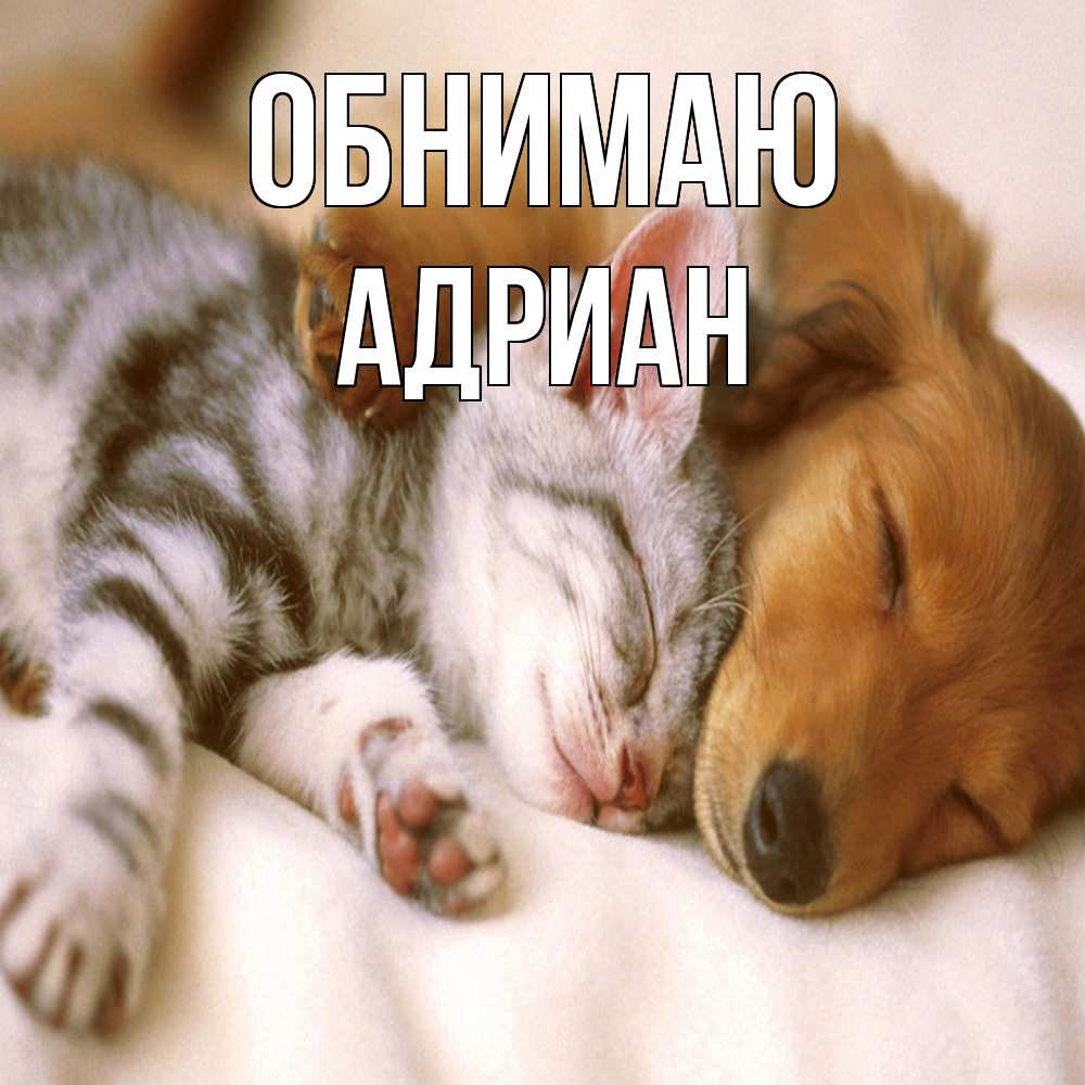 Открытка  с именем. Адриан, Обнимаю  