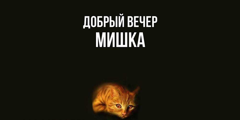 Открытка  с именем. Мишка, Добрый вечер  
