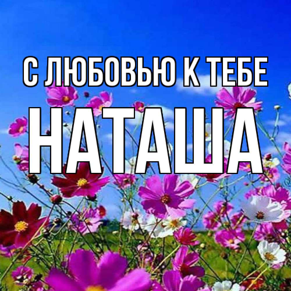 Открытка  с именем. Наташа, С любовью к тебе  