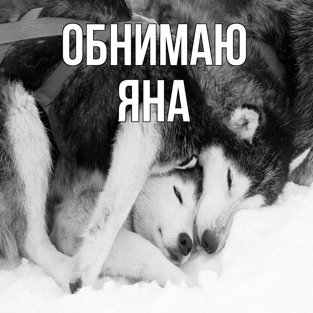 Открытка  с именем. Яна, Обнимаю  