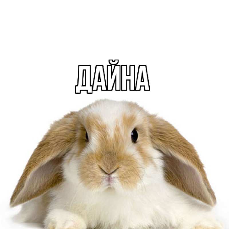 Картинка  с именем , Дайна