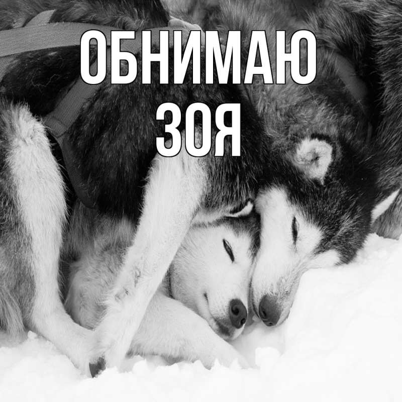Картинка Обнимаю, Зоя