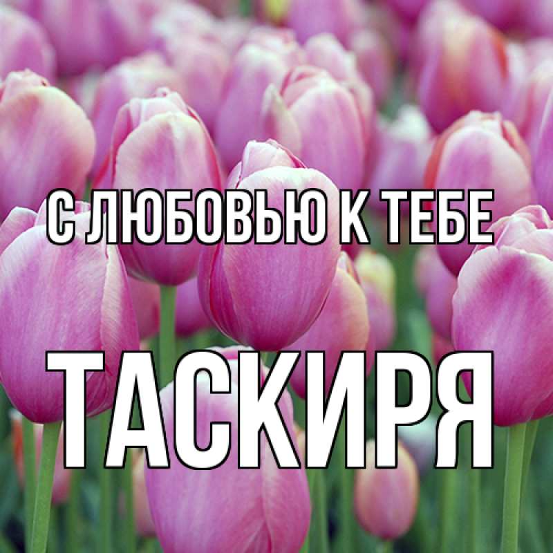 Картинка С любовью к тебе, Таскиря