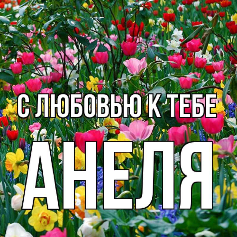 Картинка С любовью к тебе, Анеля
