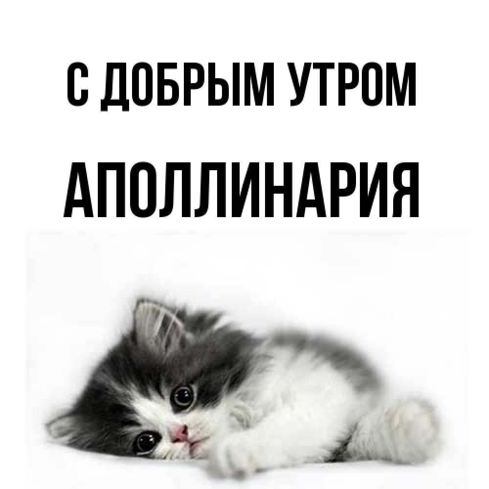 Открытка  с именем. Аполлинария, С добрым утром  