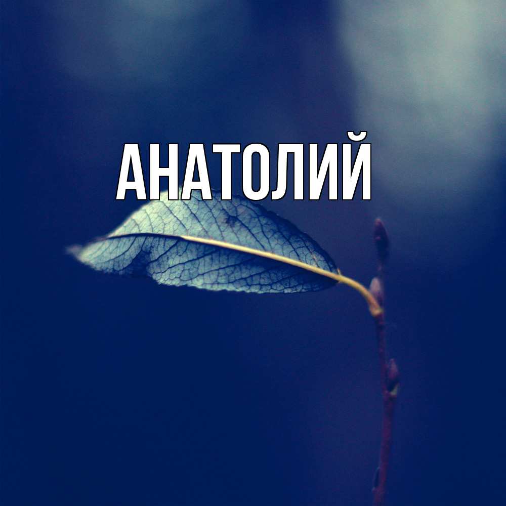 Открытка  с именем. Анатолий, Главная  