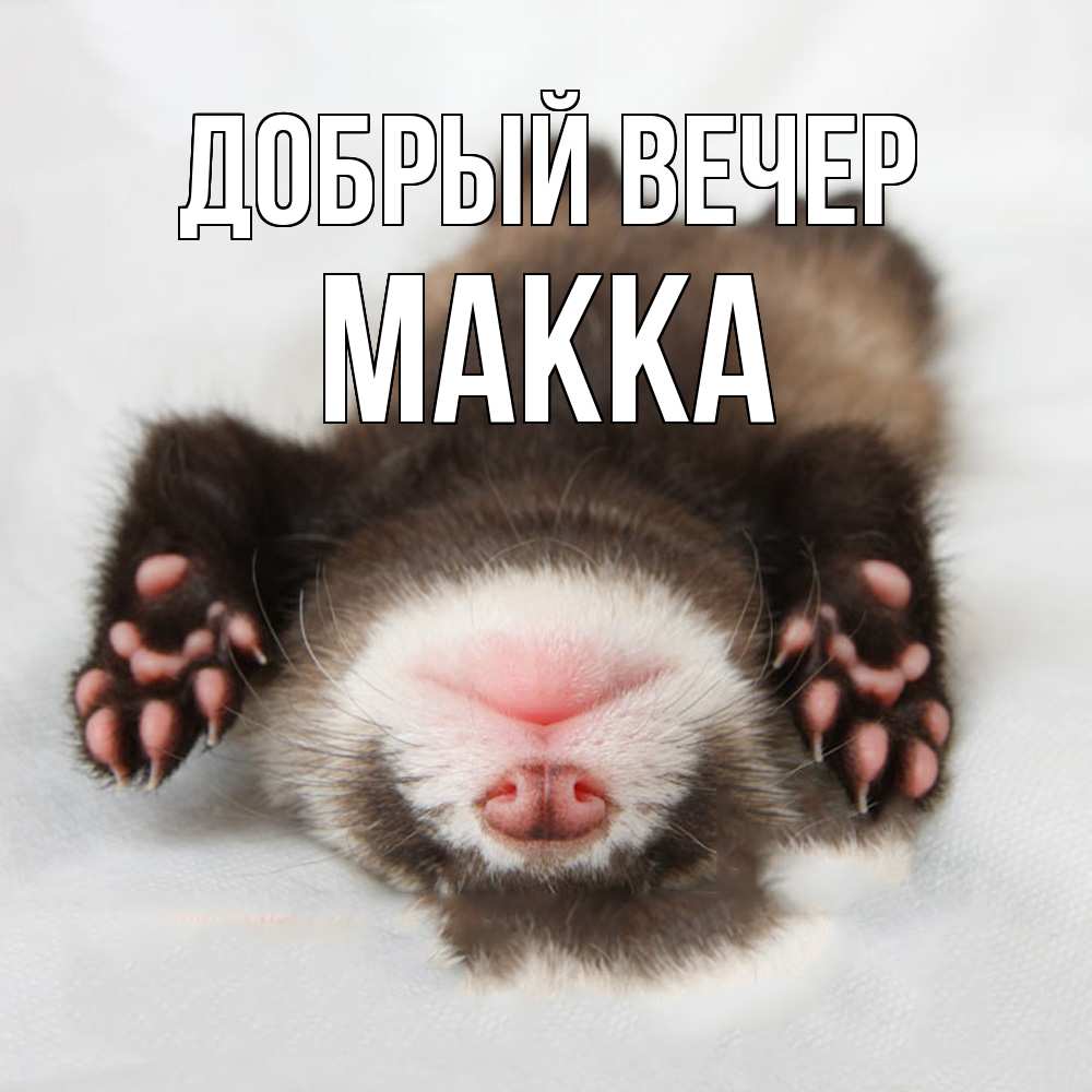 Открытка  с именем. Макка, Добрый вечер  