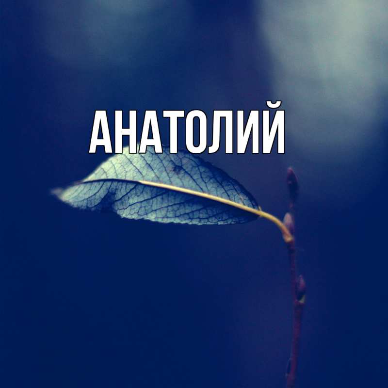 Картинка  с именем , Анатолий