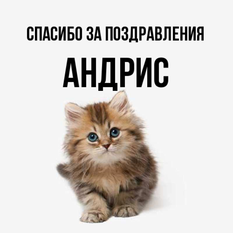 Картинка Спасибо за поздравления, Андрис