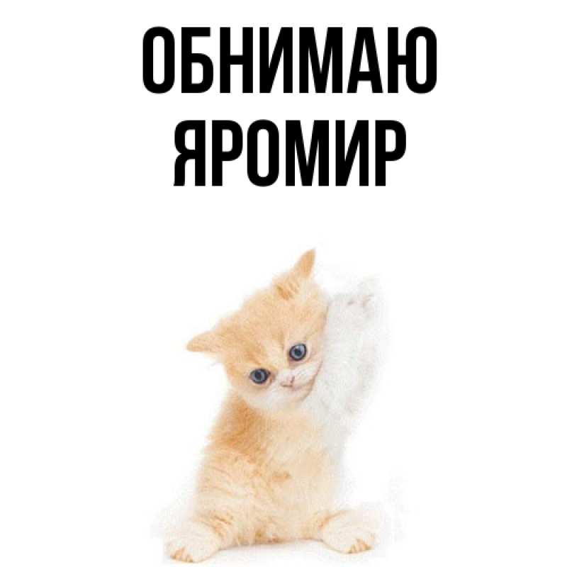 Картинка Обнимаю, Яромир