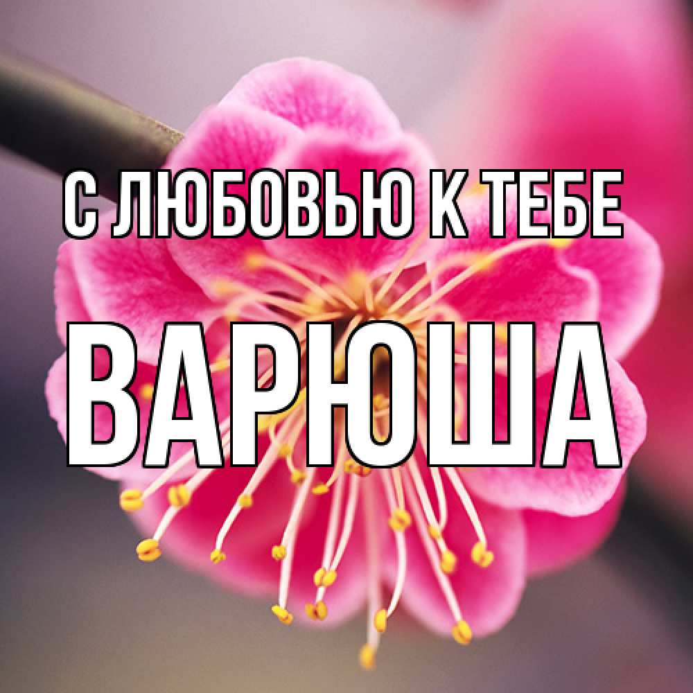 Открытка  с именем. Варюша, С любовью к тебе  
