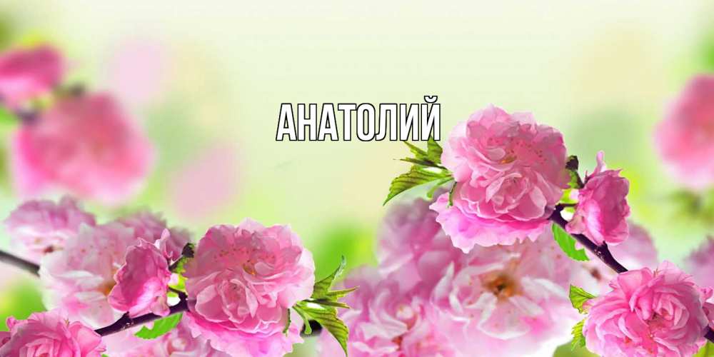 Открытка  с именем. Анатолий, Главная  