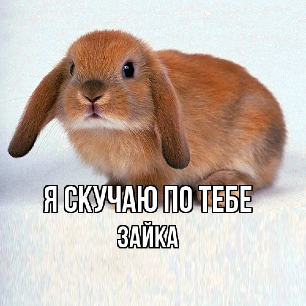 Открытка  с именем. Зайка, Я скучаю по тебе  