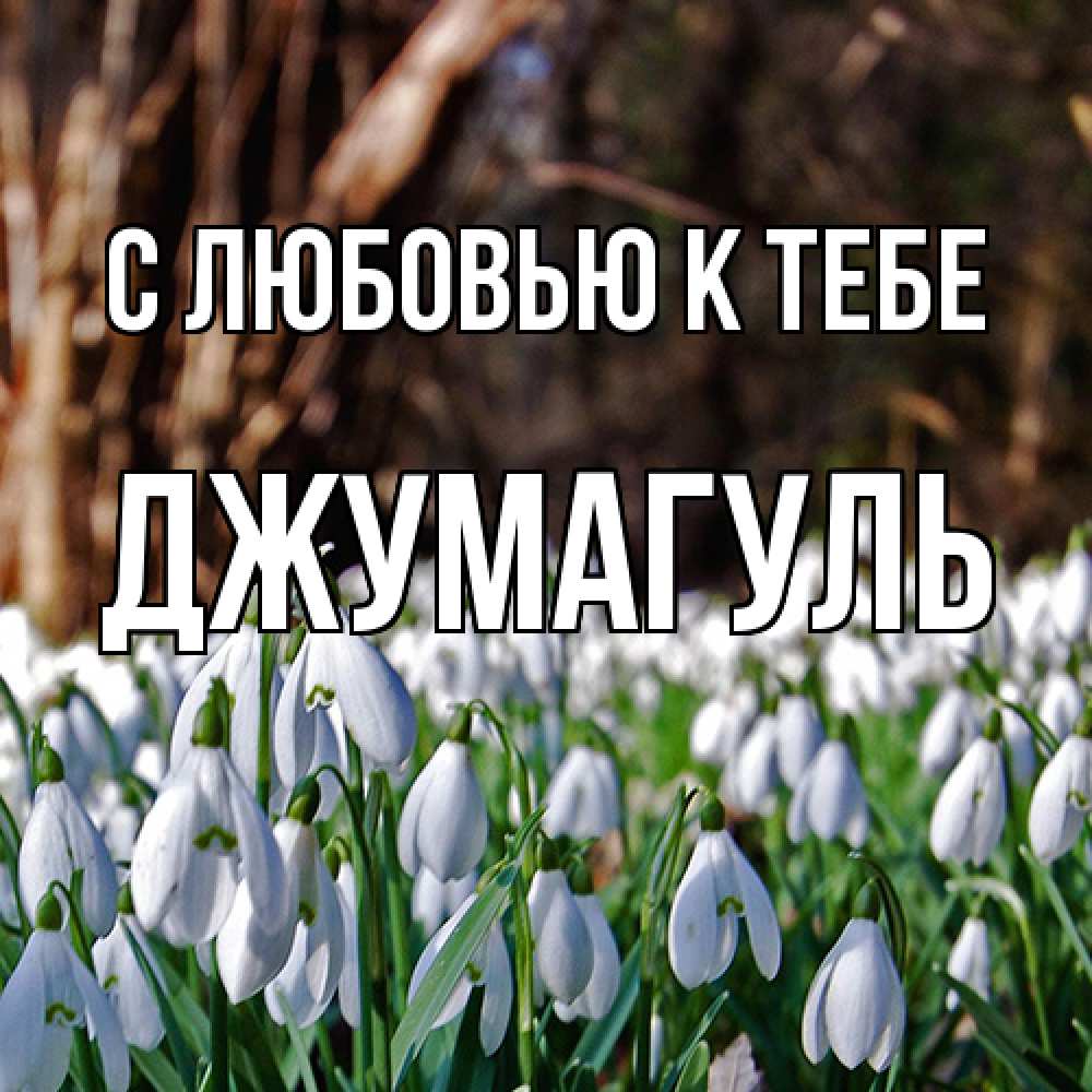Открытка  с именем. Джумагуль, С любовью к тебе  
