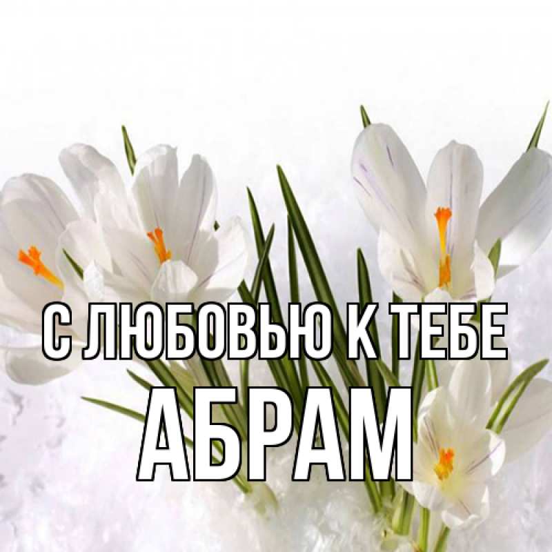 Картинка С любовью к тебе, Абрам
