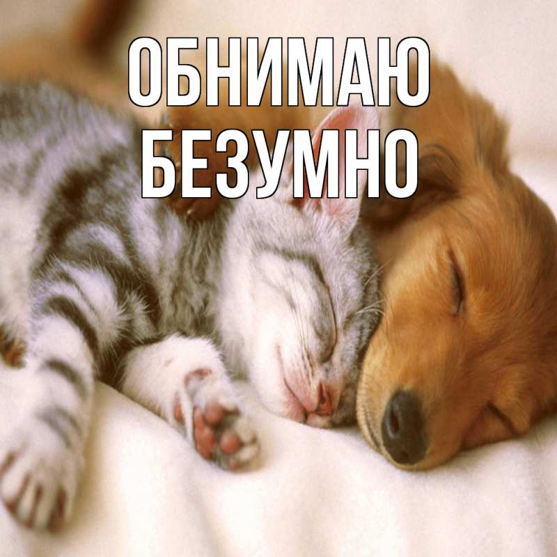 Картинка Обнимаю, безумно