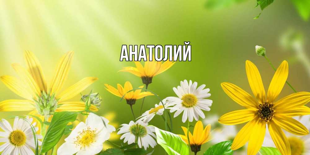 Открытка  с именем. Анатолий, Главная  