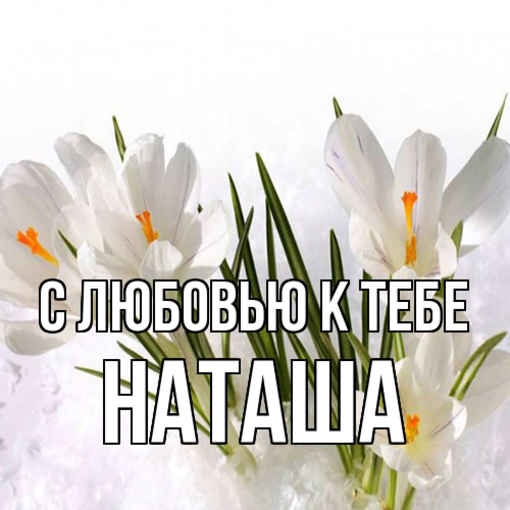 Открытка  с именем. Наташа, С любовью к тебе  