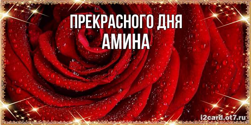 Картинка Прекрасного дня, Амина