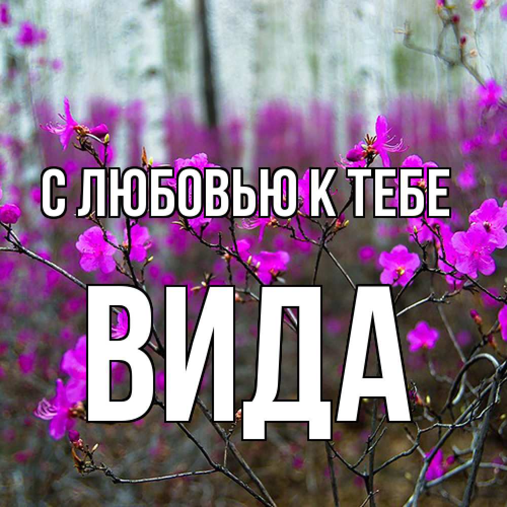 Открытка  с именем. Вида, С любовью к тебе  