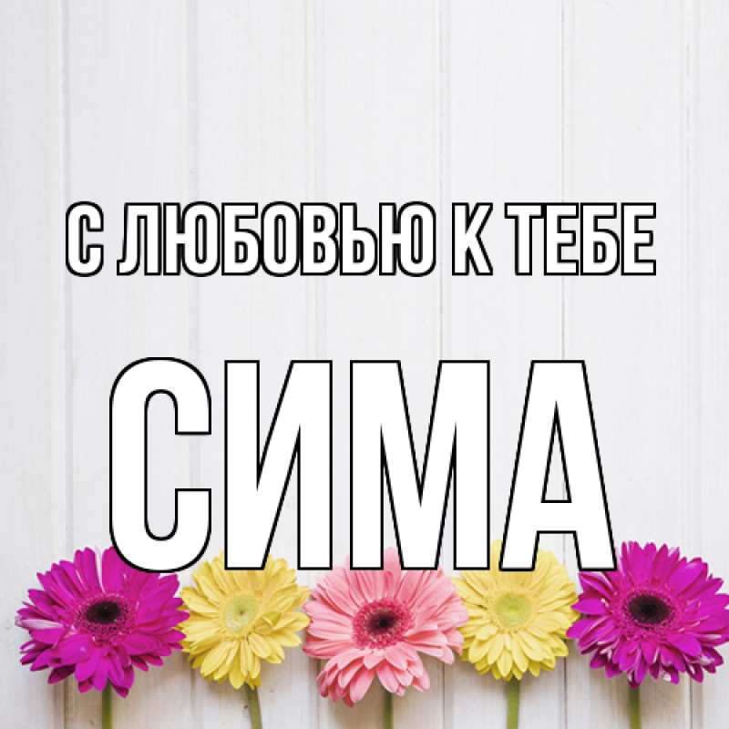 Картинка С любовью к тебе, Сима