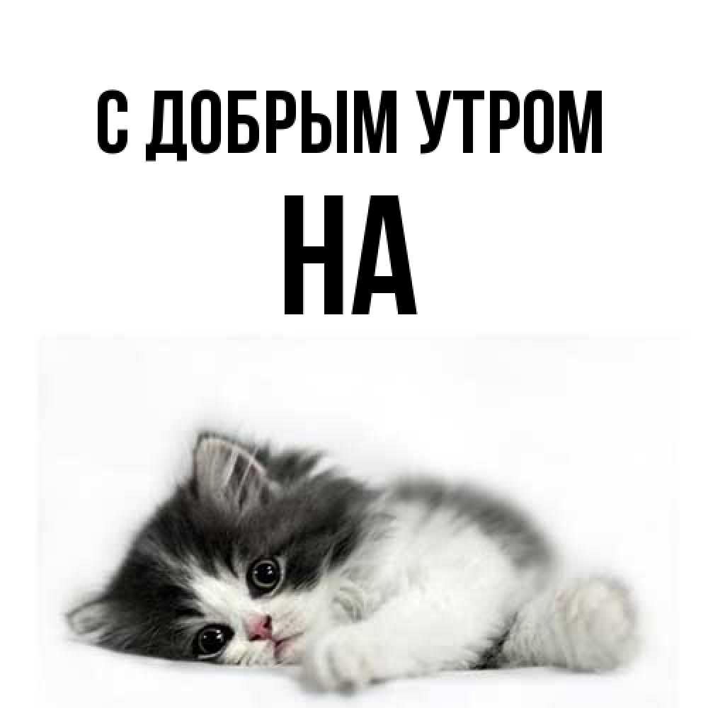 Открытка  с именем. на, С добрым утром  